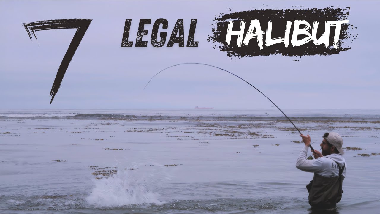 Epic Halibut Surf Fishing: 7 Legals in Remote California Kelp Forest