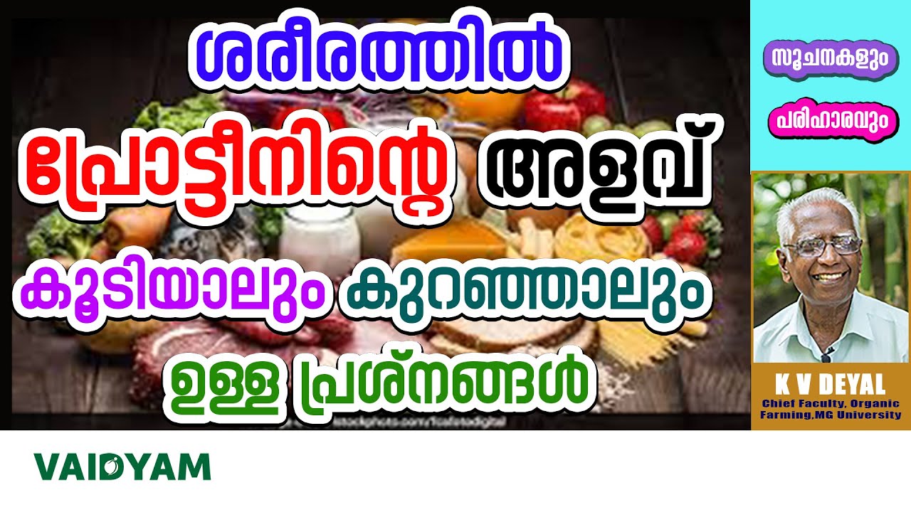 ശരീരത്തിൽ പ്രോട്ടീനിന്റെ അളവ് കൂടിയാലും കുറഞ്ഞാലും ഉള്ള പ്രശ്നങ്ങൾ  #kvdayal #vaidyam #malayalam