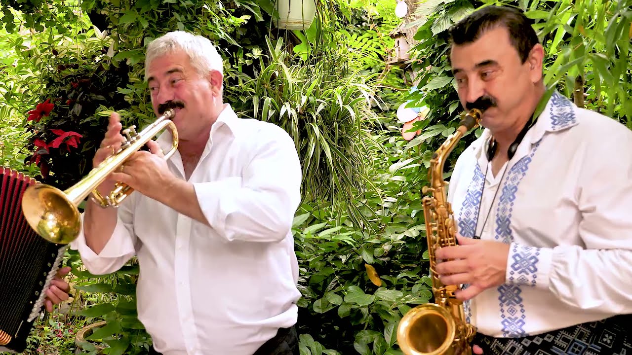 IANCU POPOVICI & DORU ȚĂRANU  - Doină de suflet și ascultare