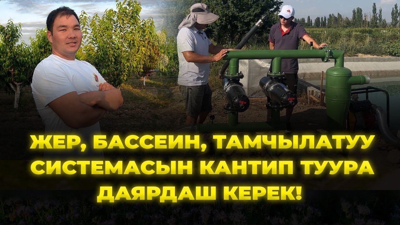 Агроном Арсен Тыныбеков сыр жашырбай айтып берди!