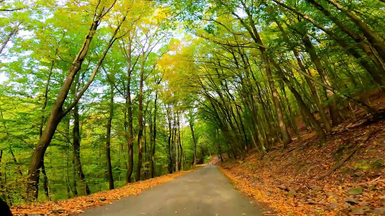 Bike adventures 2024 - *Autumn rides* 3 climbs in Pilis (Hungary), 23/10/2024 (part 2)