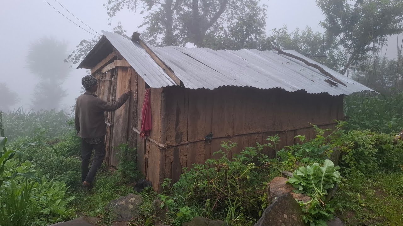 Rainy Day In Nepali Mountain Village || Most Beautiful Nature With Rural Village Life During Rainy |