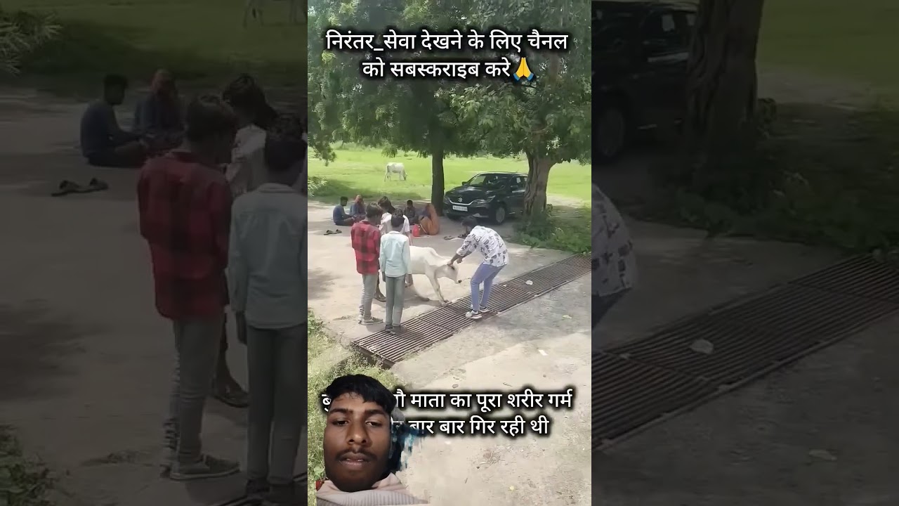 #parmanandji #duet #funny #love #comedy #sad #trending #cow #motivation #gauprem #funny #gomata