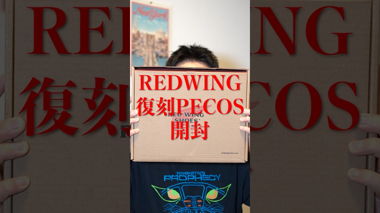 【RED WING】復刻スウェードペコスブーツついに購入！開封動画！【レッドウイング8168】#redwing #レッドウィング #pecos