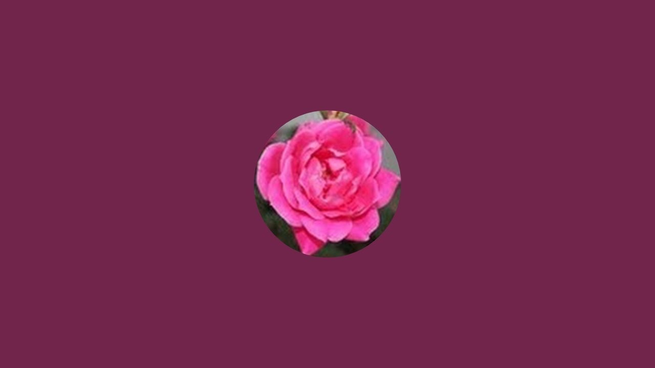 In Rose's Garden is live!Making the BBB earrings using the toggle bars.