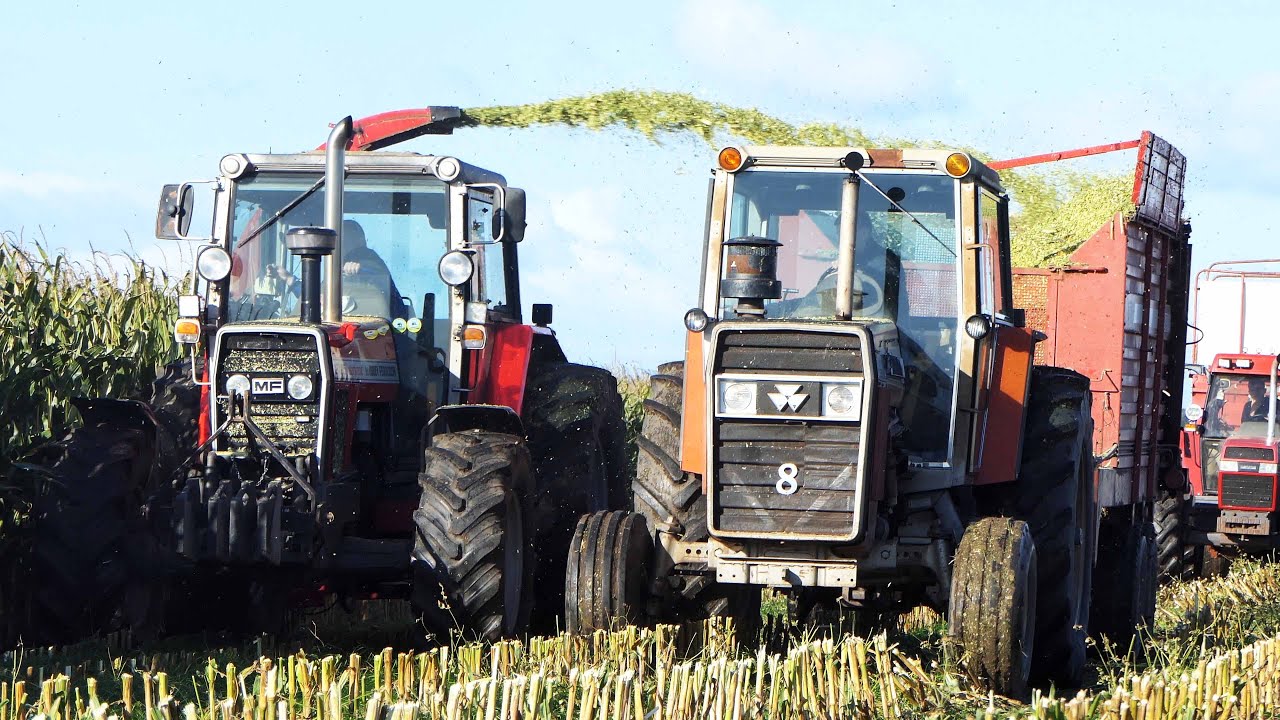 Maisernte 2024 | Massey Ferguson 2725 & 2745 V8 - Corn Silage Day 2024