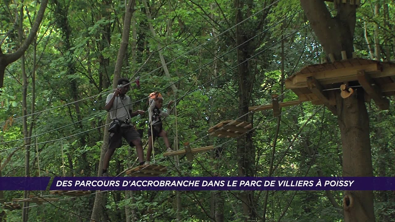 Yvelines | Des parcours d'accrobranche dans le parc de Villiers à Poissy