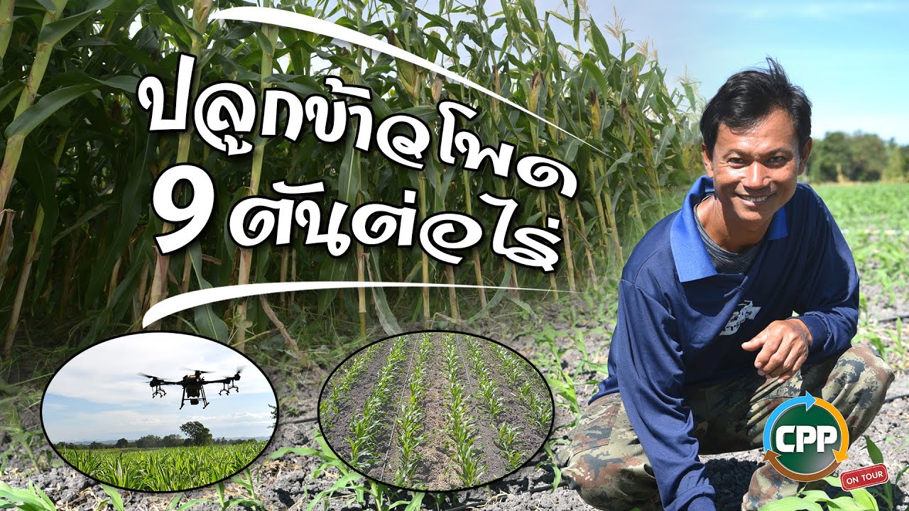 CPP Talk On Tour EP.4 : ปลูกข้าวโพด 9 ตันต่อไร่