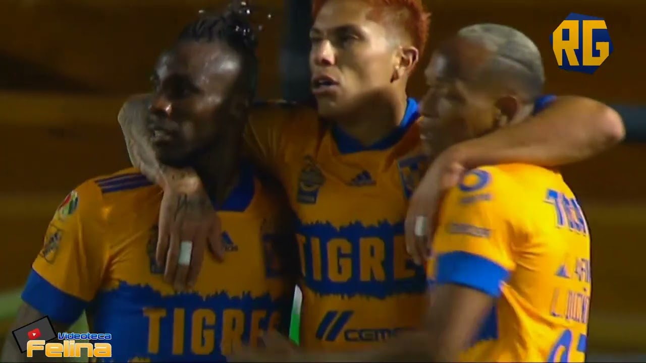 LOS 7 GOLES DE CARLOS SALCEDO CON TIGRES UANL 2019-2022