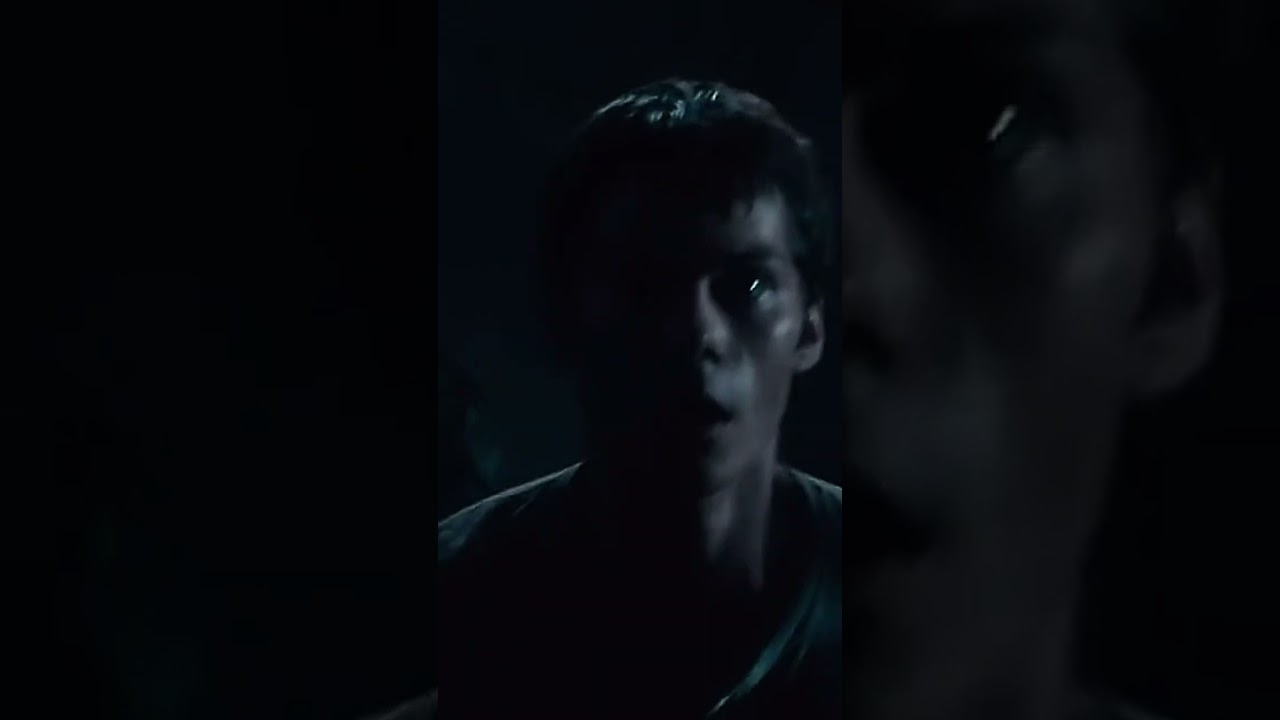 Y/n x Newt||S1 E30//#mazerunner #minho #thomas #yn #fypシviralシ2024シ #series #griever