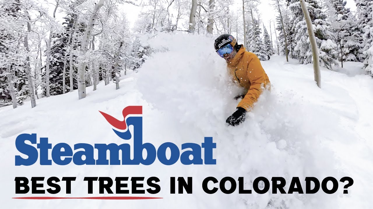 Powder Tree Runs in Steamboat Colorado | 2023