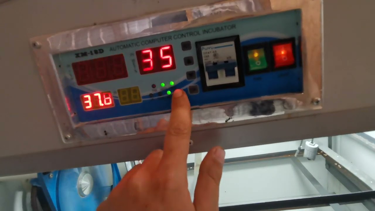 Incubadora profesional. Como funciona. Te explico todo.