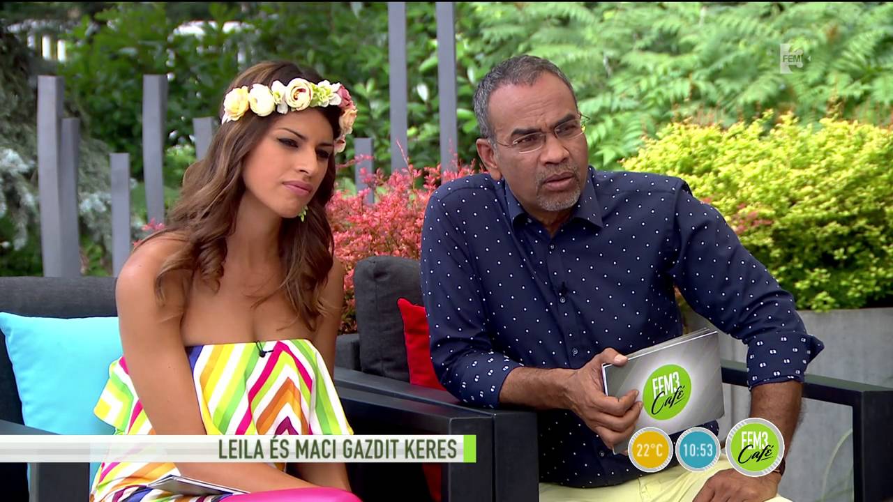 Fogadd örökbe az édes kutya házaspárt - tv2.hu/fem3cafe