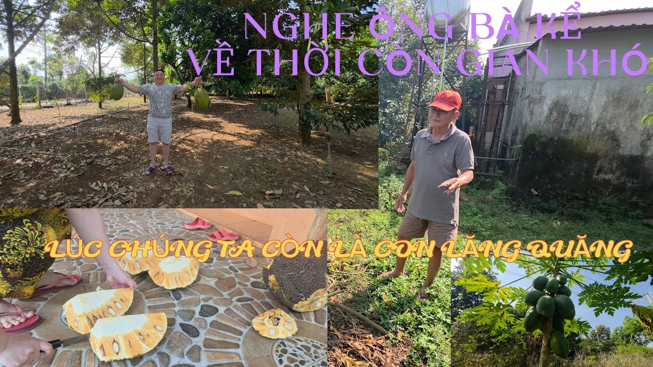 MÕI NGÀY CÓ ĐƯỢC BÌNH YÊN!