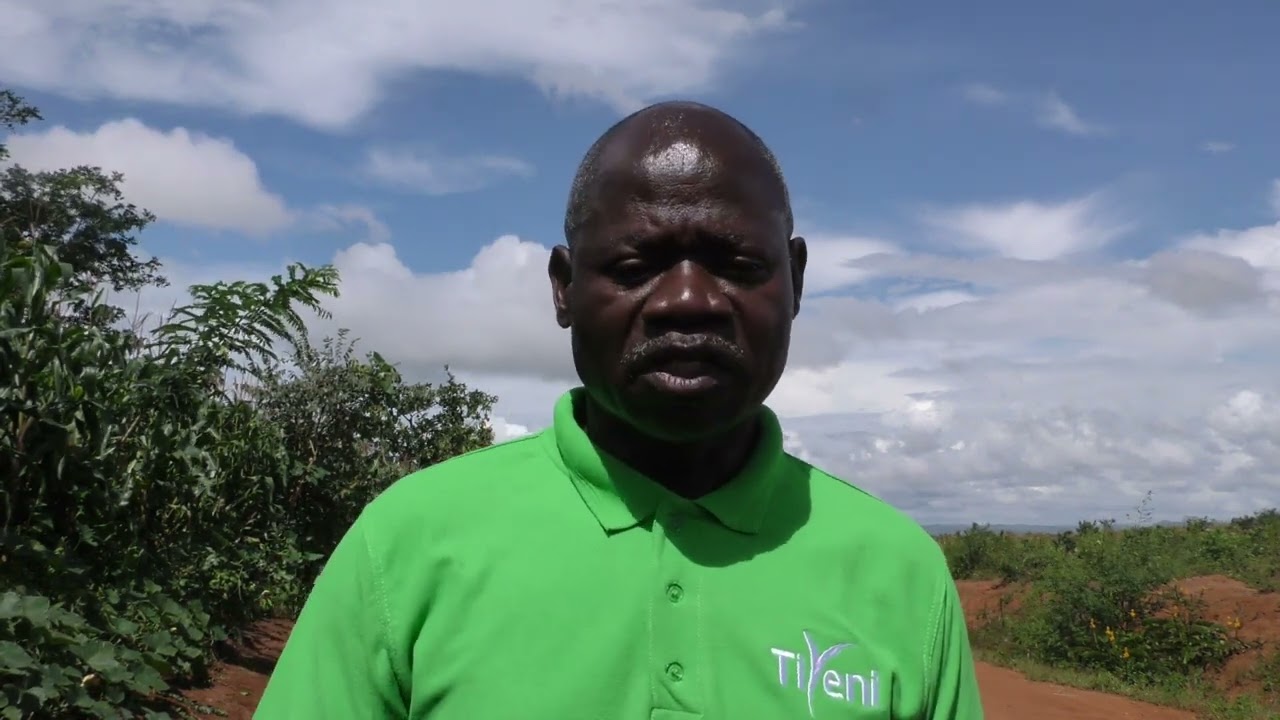 Deep Bed Farming for a Sustainable Future