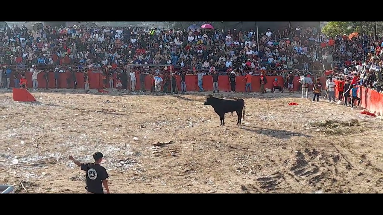CORRIDA deTOROS ayacucho SANTA ANA 2024 día 2