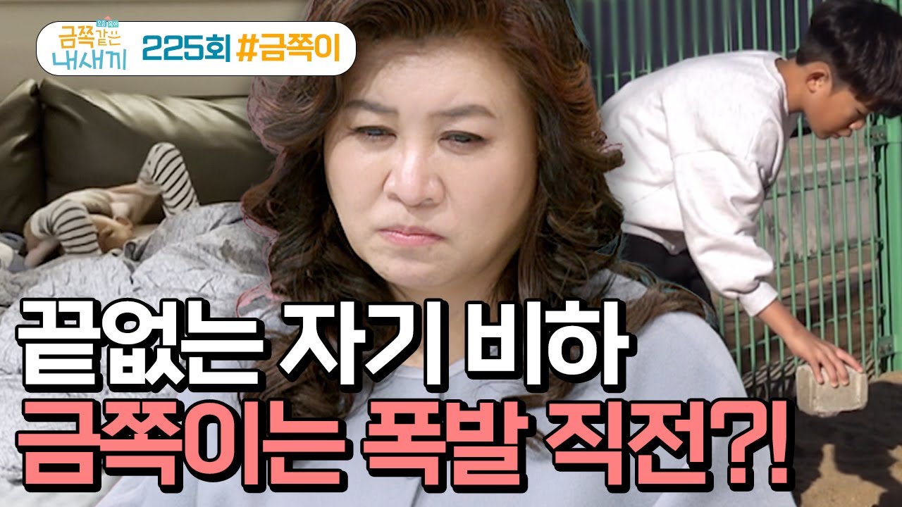 [예능] 금쪽같은 내새끼 225회_250207_자기 비하를 일삼던 금쪽이가 타인에겐 공격성을 보인다?! 금쪽이 행동의 이유는 무엇일까?