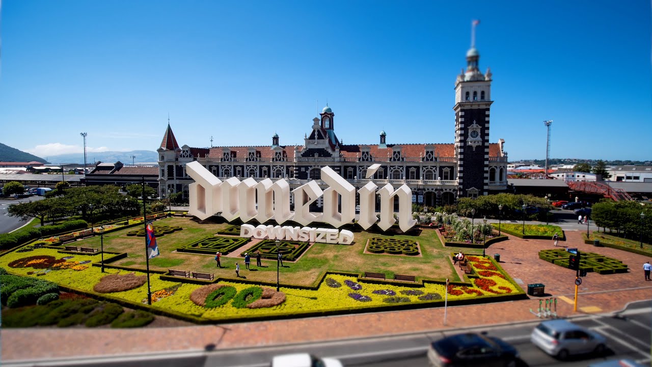 Dunedin Downsized