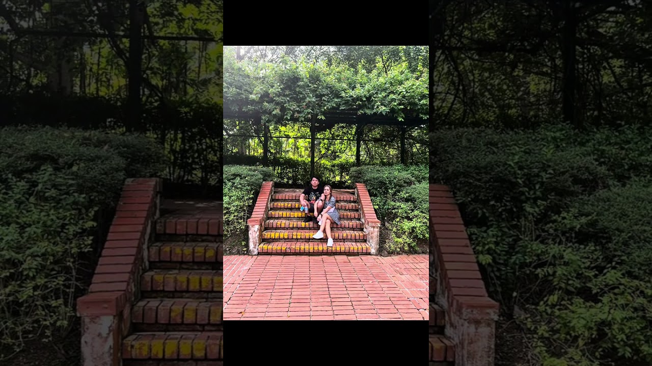 Walking Around Singapore Botanic Gardens | A Peaceful Escape in the City | Travel Vlog 2025