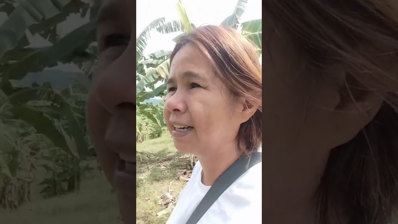 Good morning po heto po tapos na ang pinagawa Kong upuan at silungan.