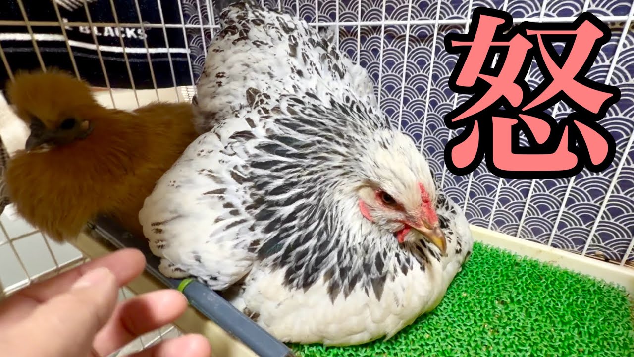 あのかわいい泉が・・・
