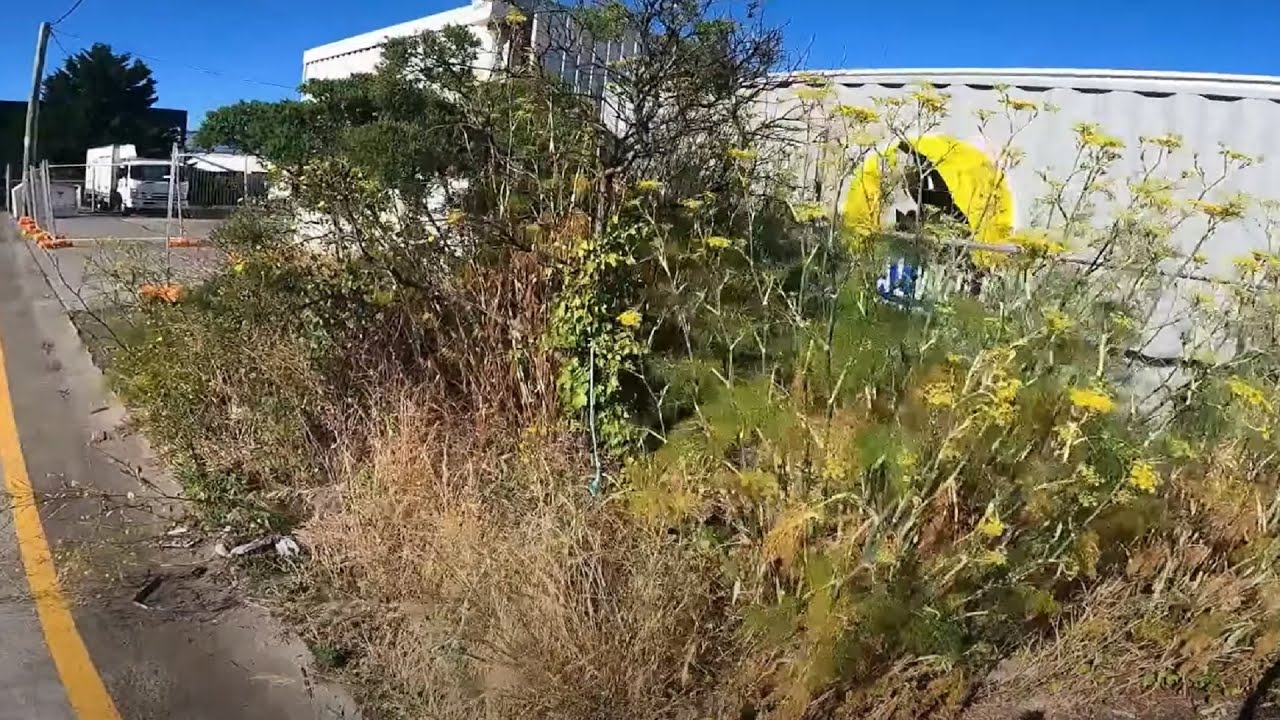 The Owner of this Nightmare was Desperate to get it Fixed !!!