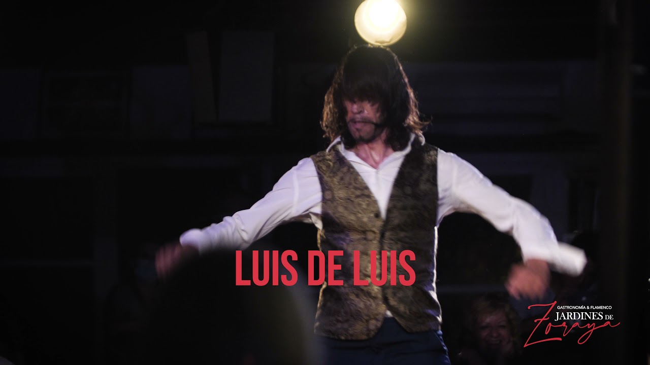 Luis de Luis 4k - Tablao flamenco Granada - Jardines de Zoraya