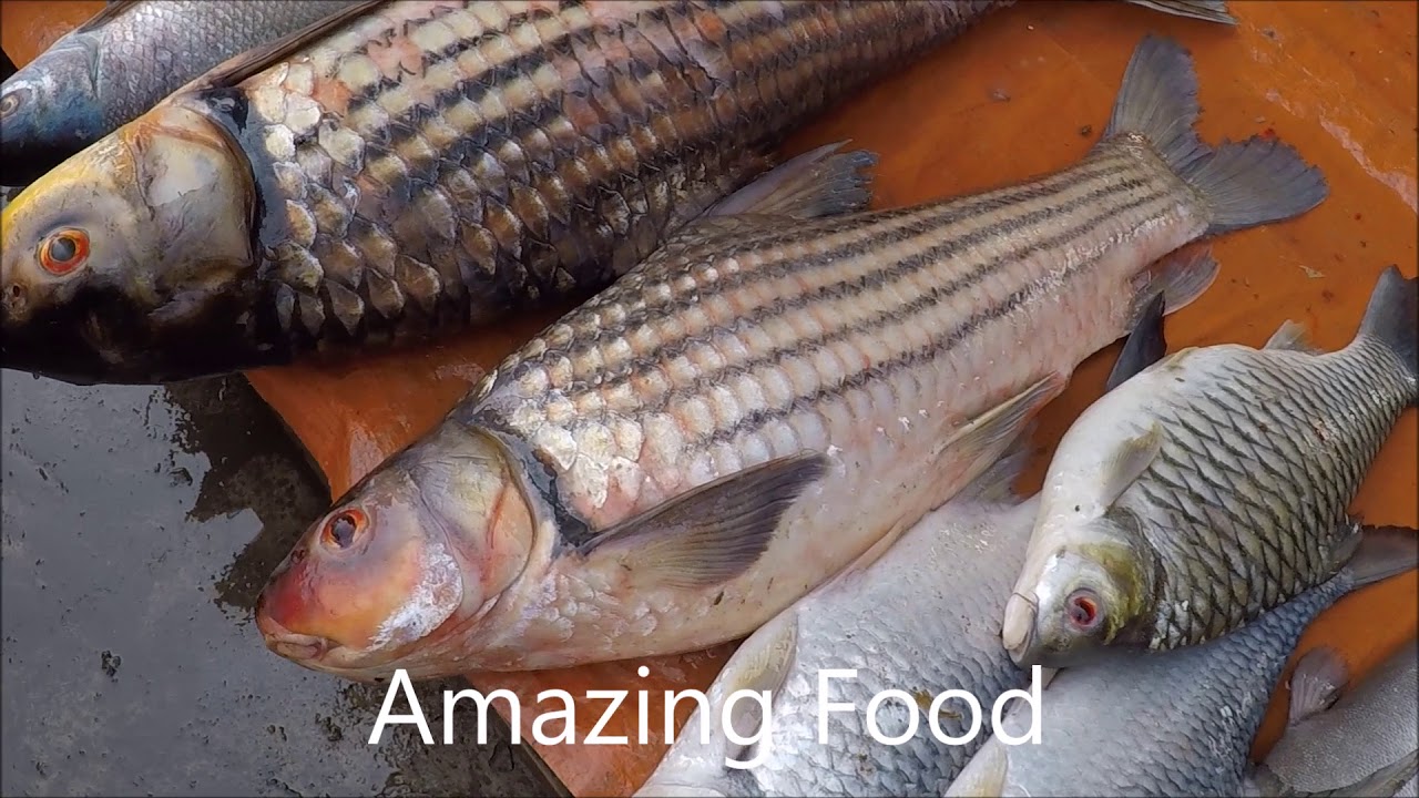 Pakse Fish Market Laos Street Food