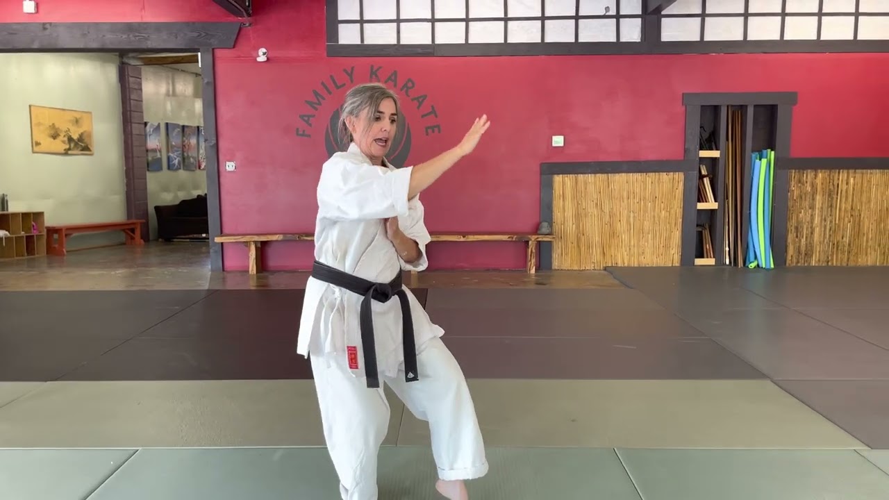 Shinpa Cho (Shudokan) Instruction