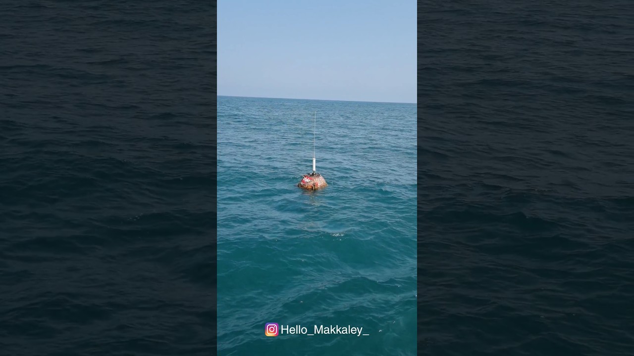 Seagullcruise Best boating in Puducherry beach For More Info & Tickets: +919789442200, +919791206182