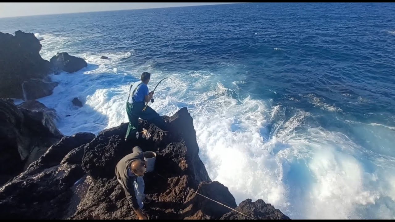 Sargo rock fishing / Pesca sargos  Diplodus sargus