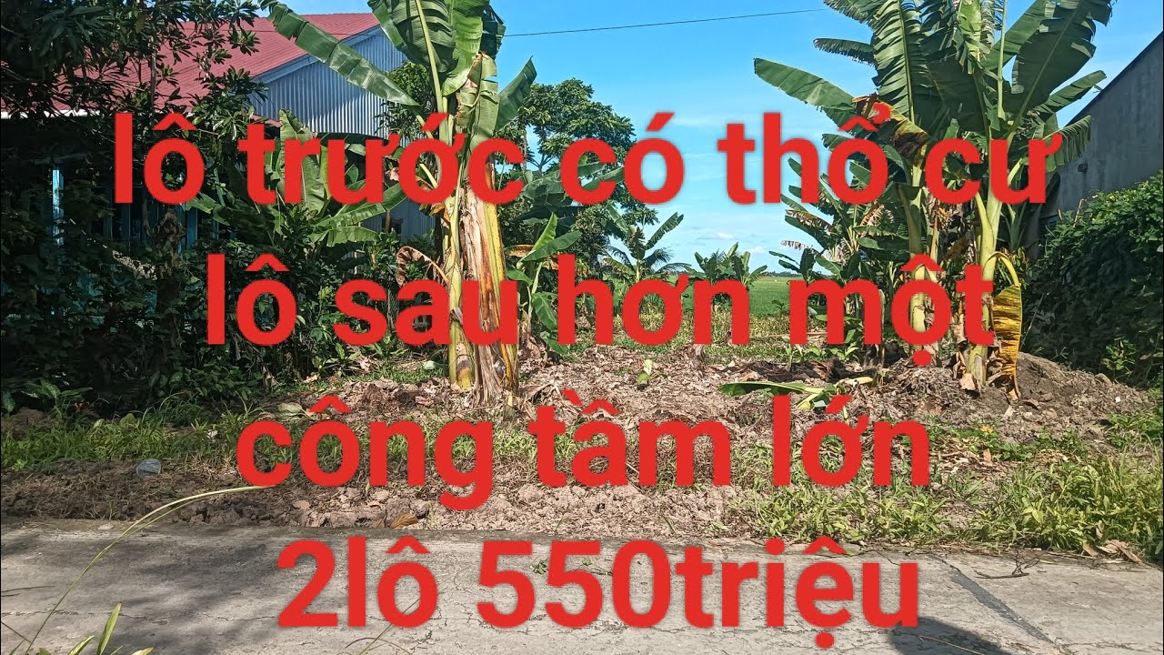 Đất nền Cờ Đỏ