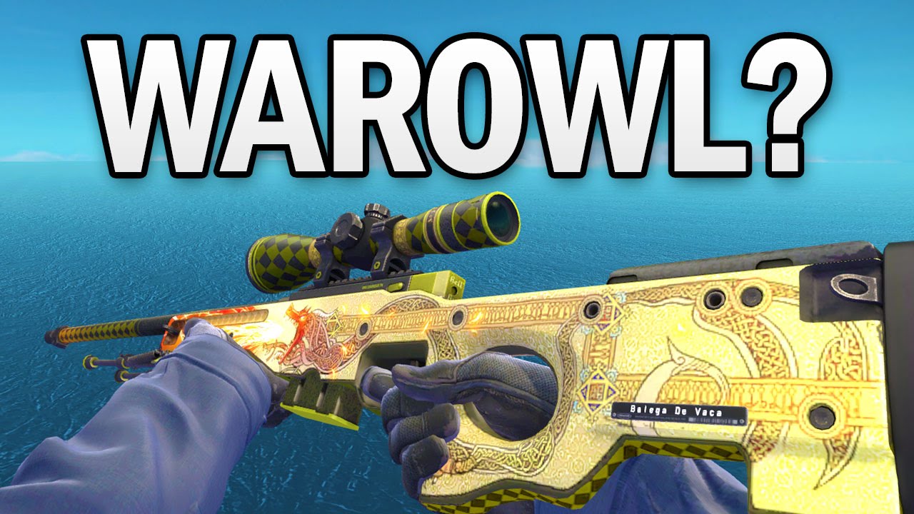 WAROWL JOINS ME FOR A COMPETITIVE GAME OF CSGO!