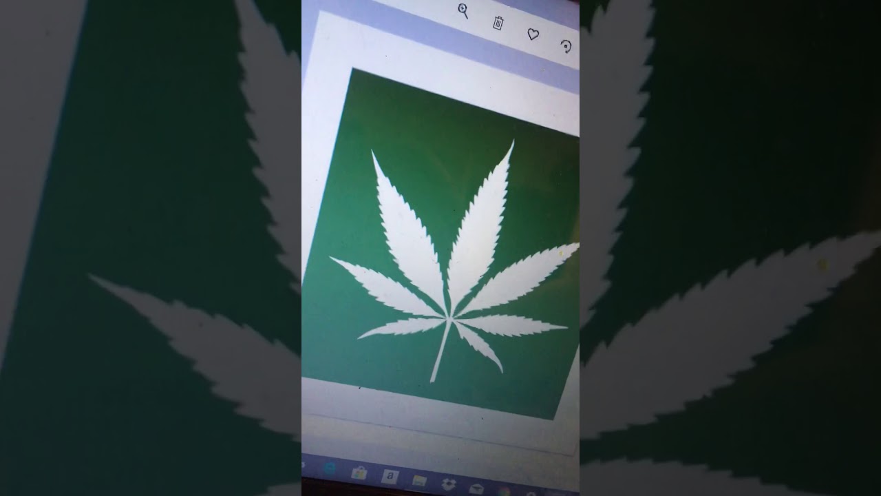 Cali Herb Reality