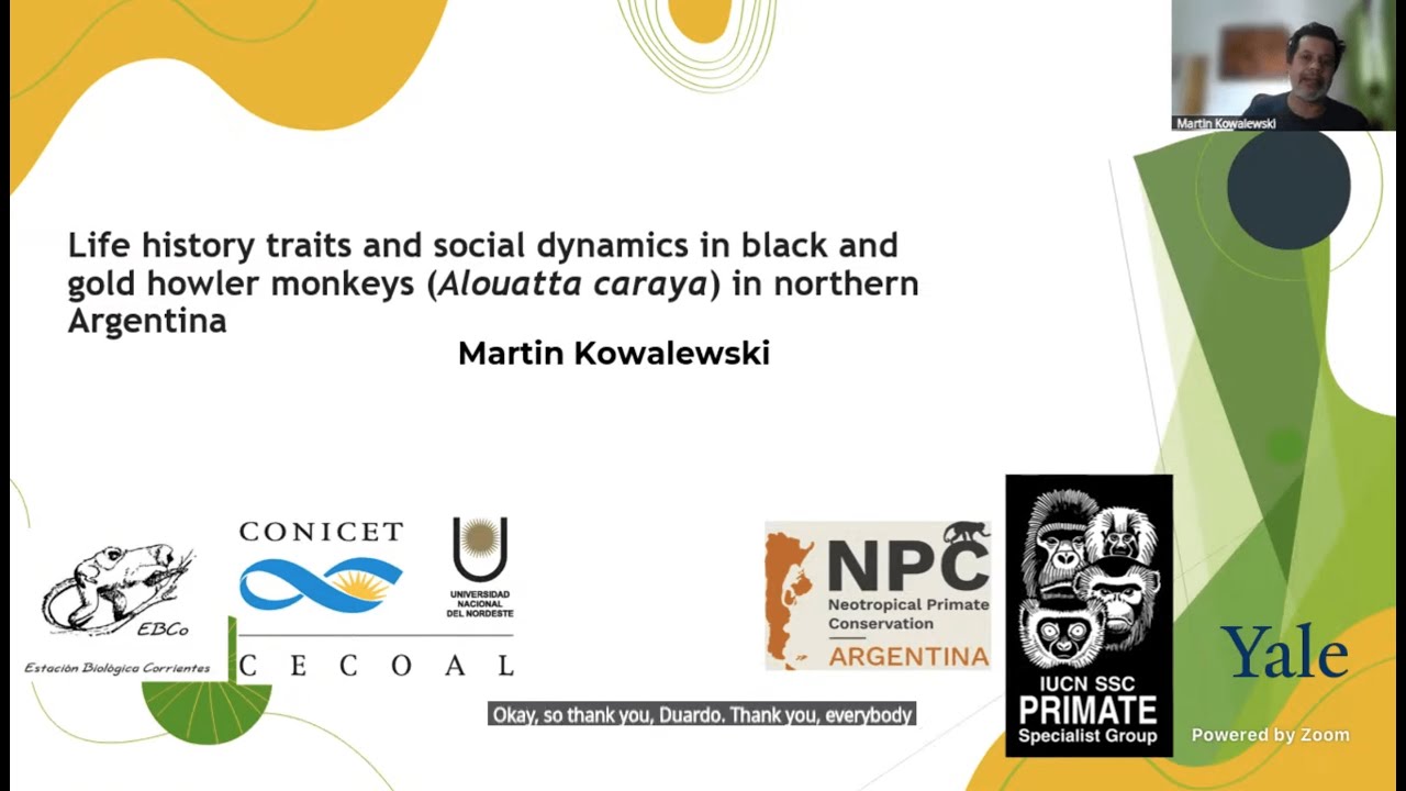 Martin Kowaleski: Life history traits and social dynamics in howler monkeys (22 Apr. 2025)