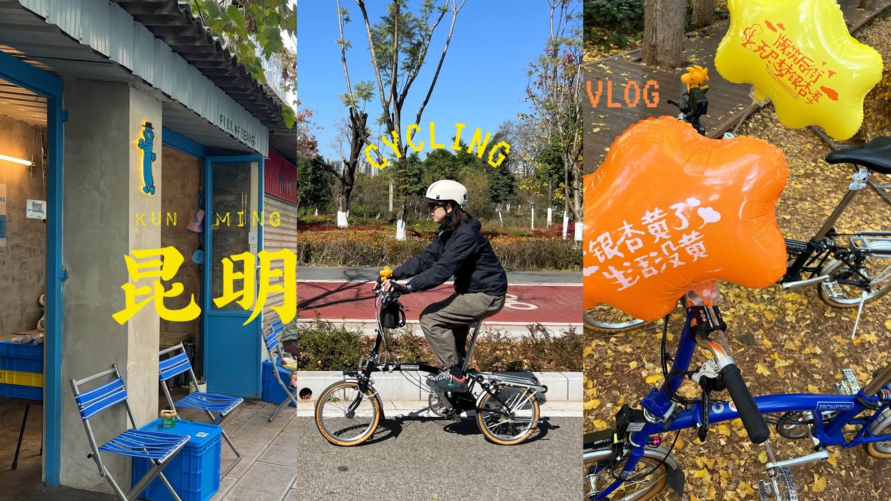 带着brompton去旅行 | 骑行在昆明的好天气里 景色很美 米线很多 市集很棒 晚高峰很癫 汪星人含量很高