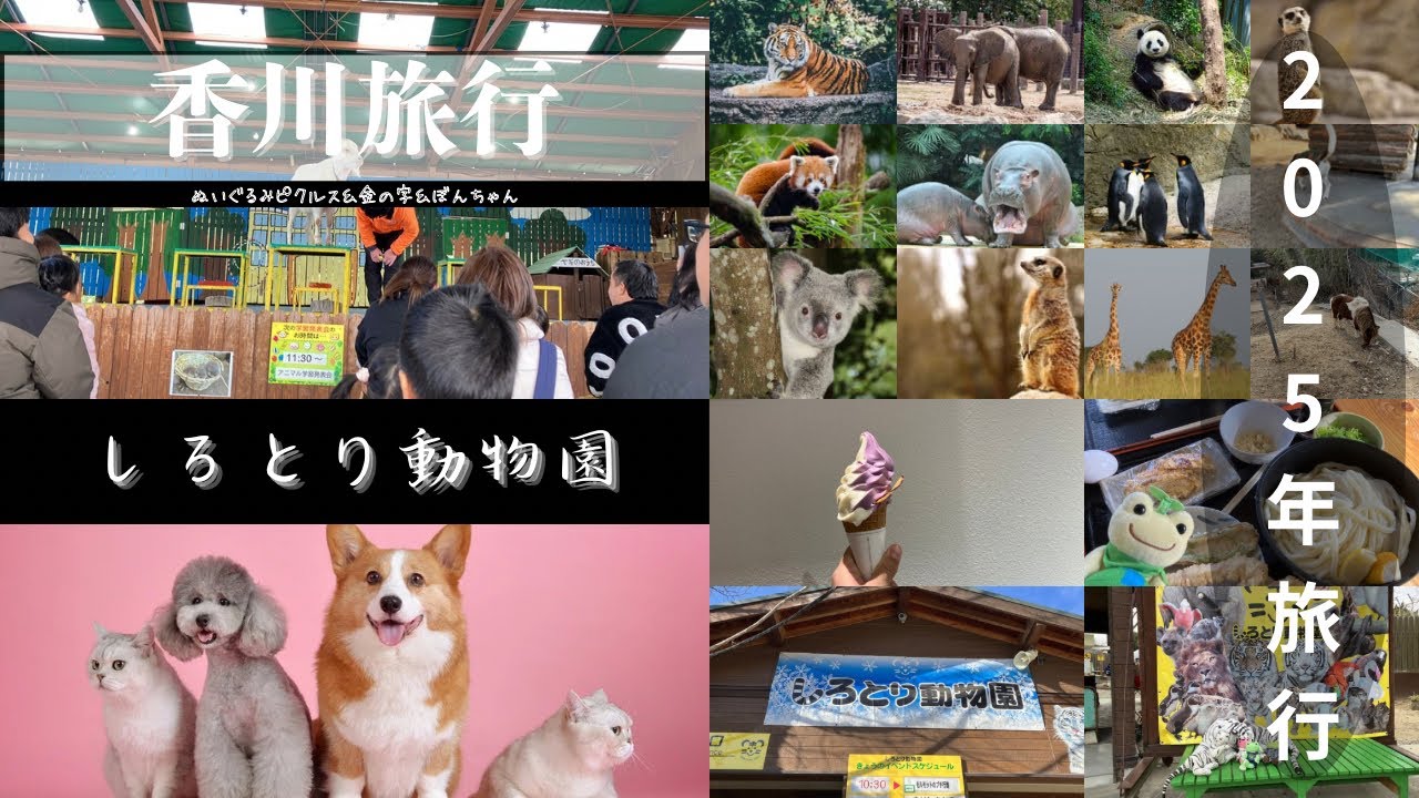 【カエルのピクルス】春の香川旅行へいったよ