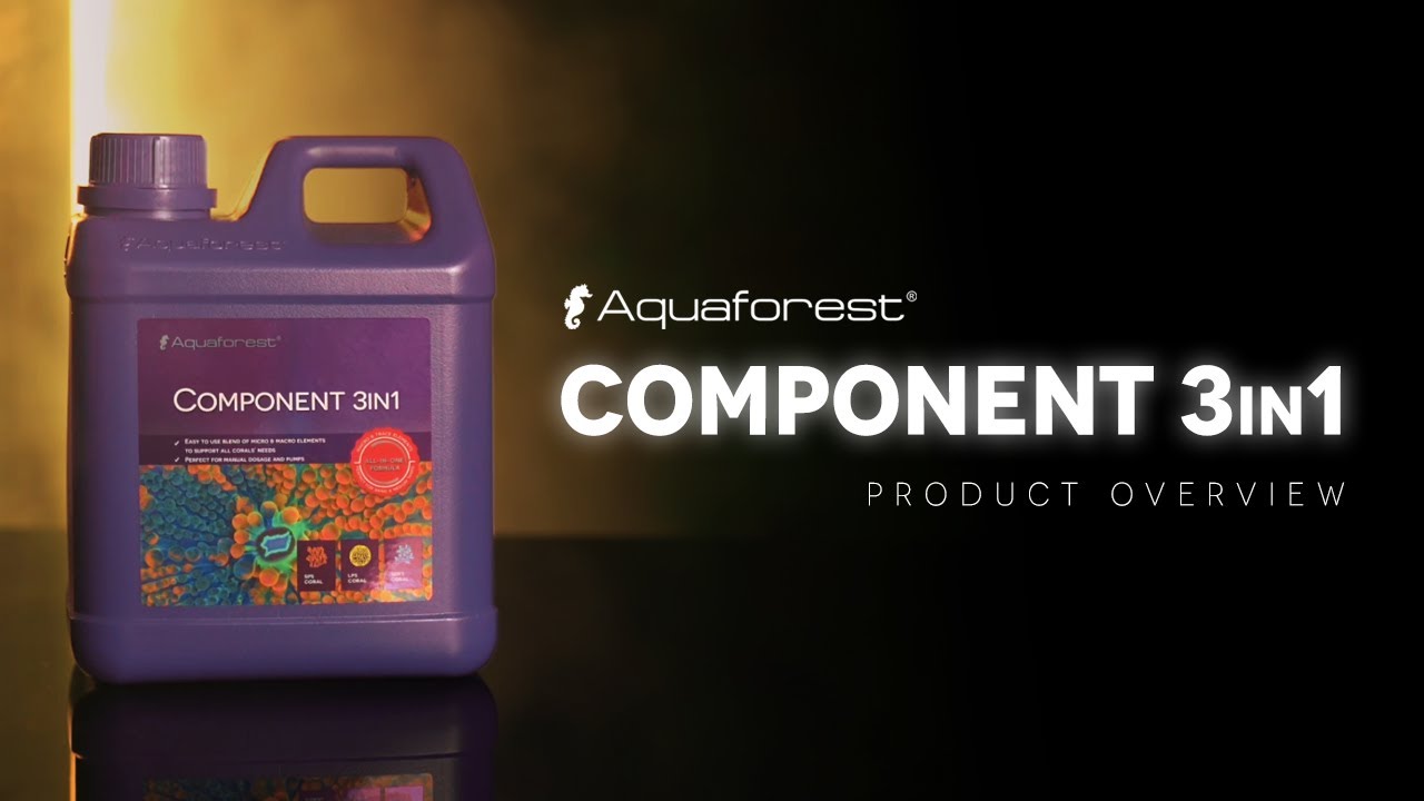 All your corals need in ONE BOTTLE | Component 3in1