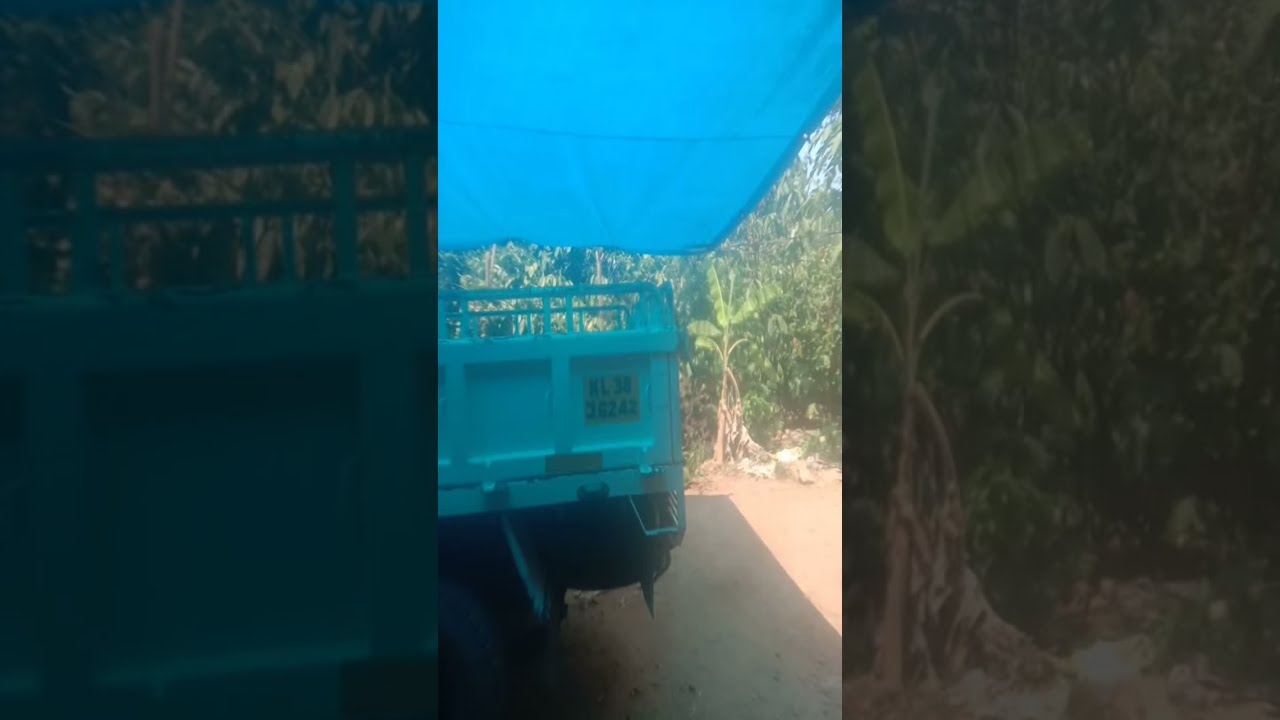 തോൽവികളാണ് വിജയത്തിന്റെ മാധുര്യം കൂട്ടുന്നത്.🔥💯😍#live #livestreaming #malayalam #Kerala #india