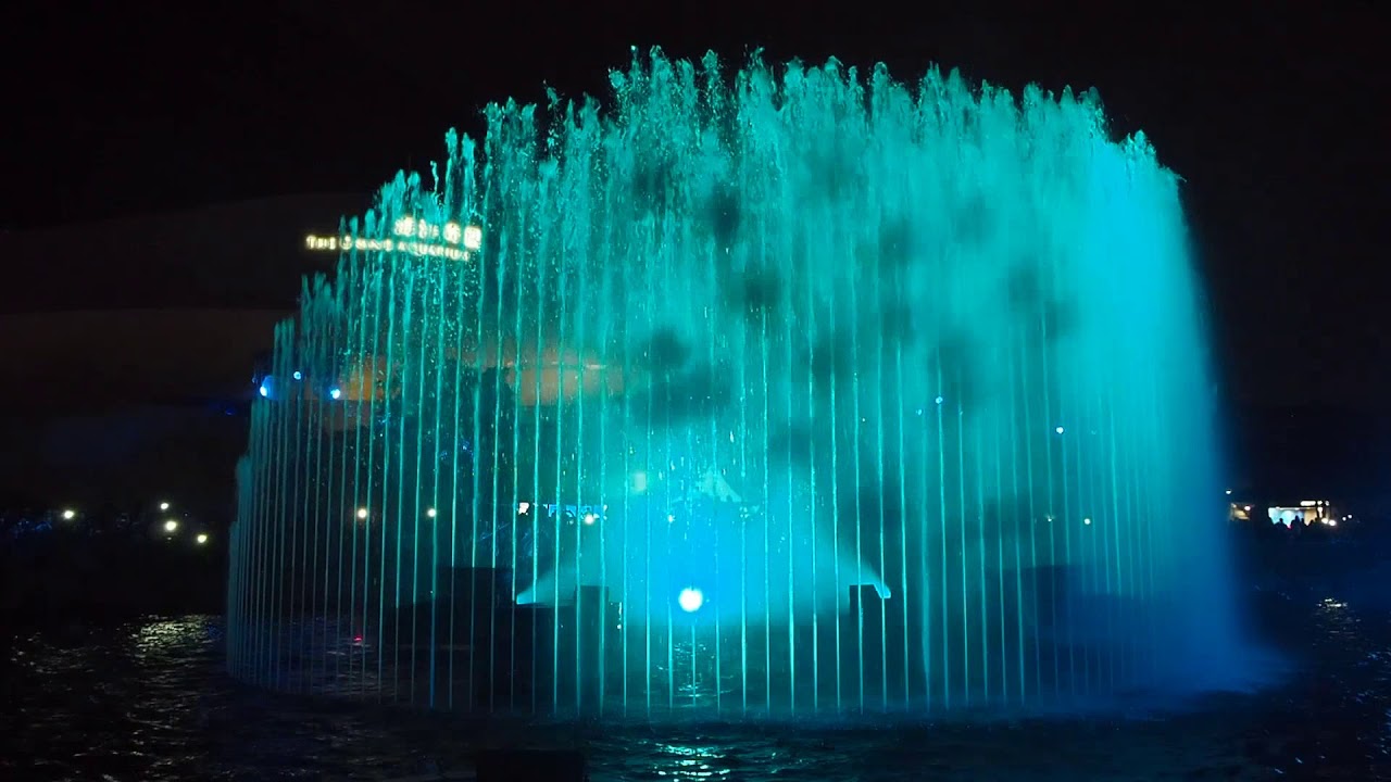 Ocean Park Symbio 20171230