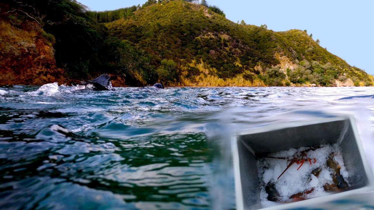 New Zealand Winter Catch & Cook, Crayfish, Butterfish and leatherjackets!
