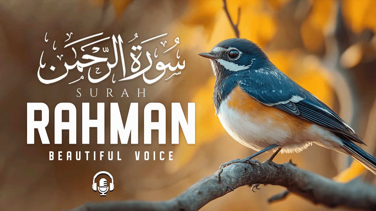 Surah Ar Rahman سورة الرحمن | Relaxing Quran Recitation for Deep Sleep | Quran Lofi Themed
