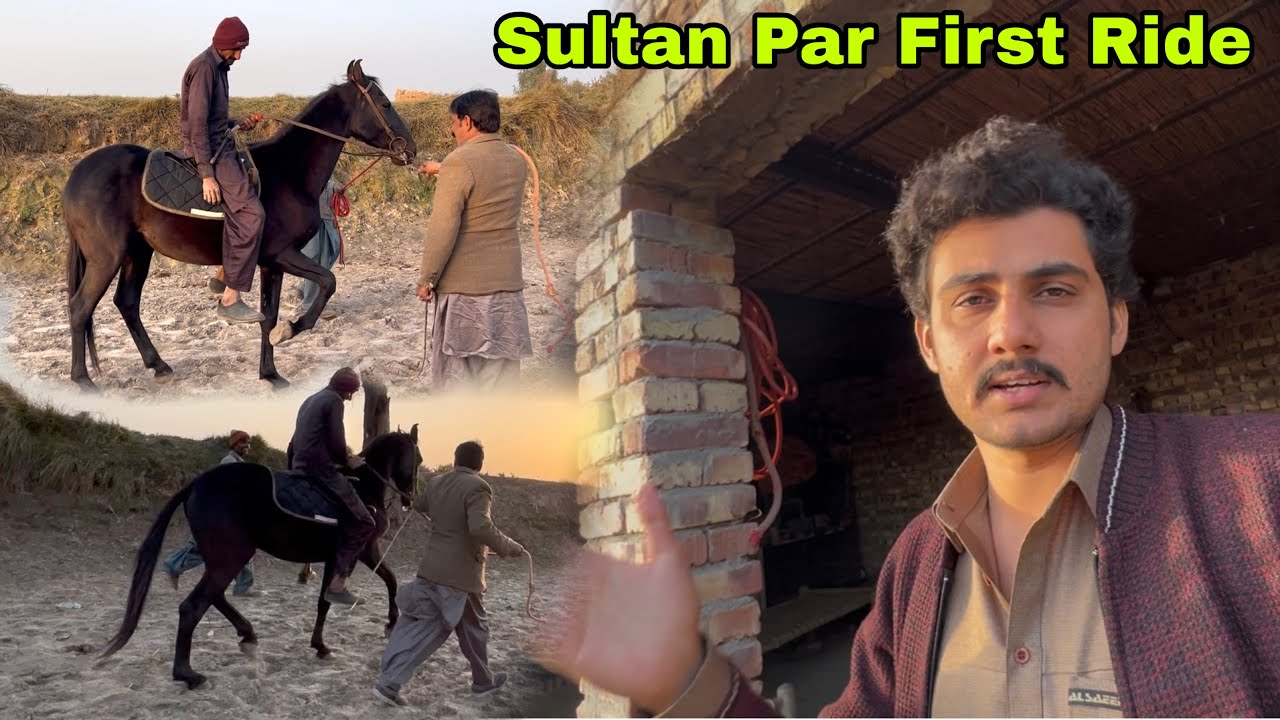 Sultan Par First Time Horse Ride 😍 || Chal Baz Bany Ga Sultan ?