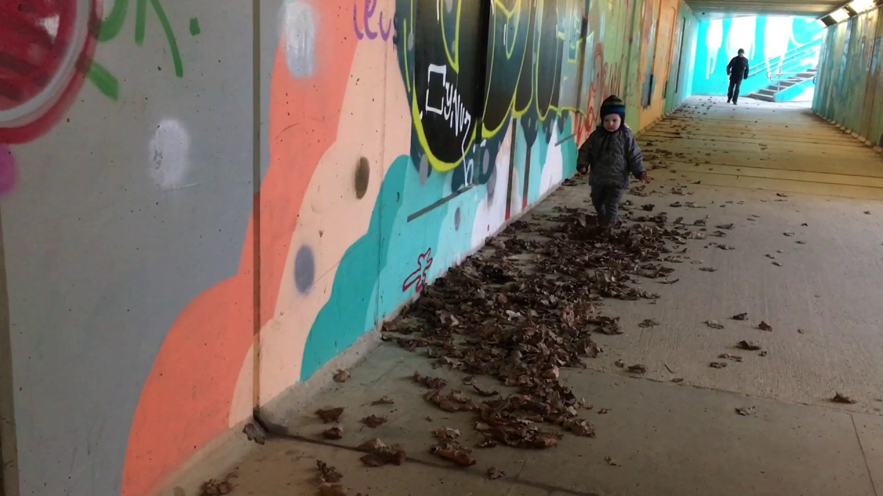 Found some dried leaves- what a joy