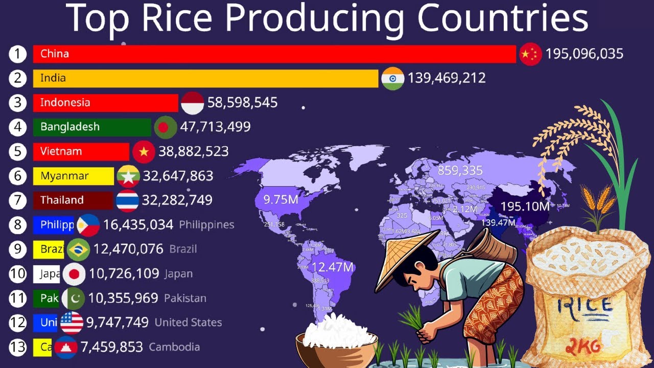 Top Rice Producing Countries 1960–2026