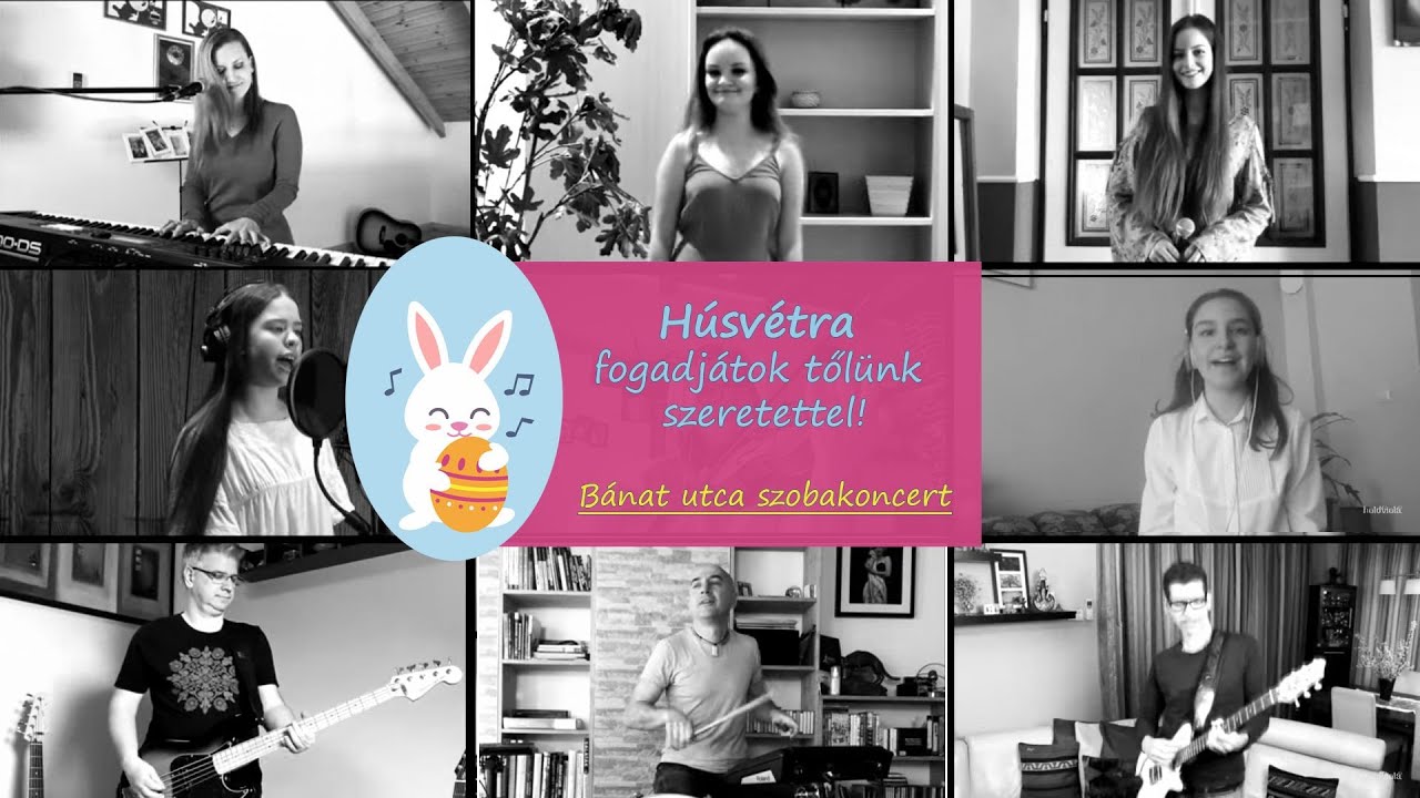 Holdviola - Bánat utca 2020 #otthonalegjobb (szobakoncert)