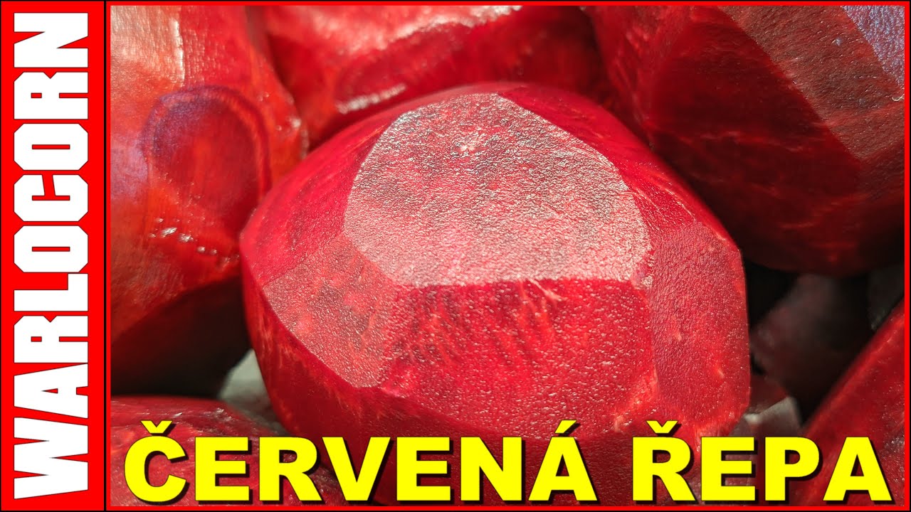 Červená řepa #warlocorn