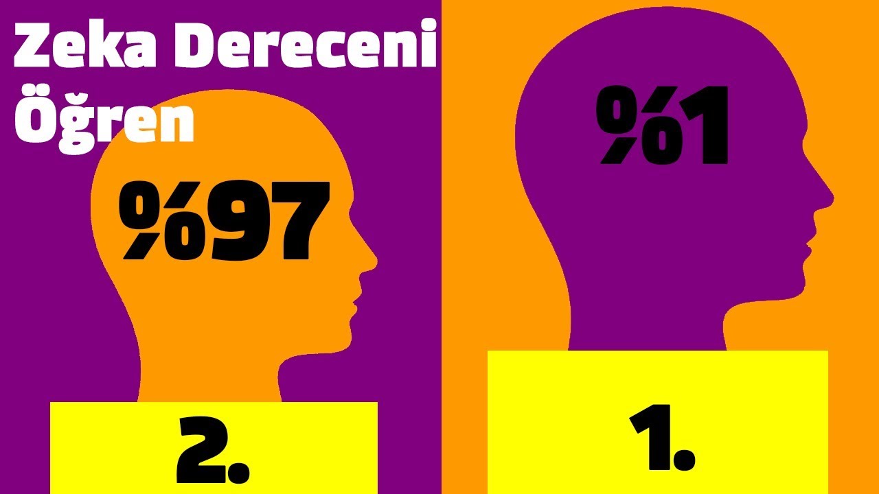Zeka Dereceniz Ka&ccedil;? 14 Soru ile Zeka Testi Puanlı