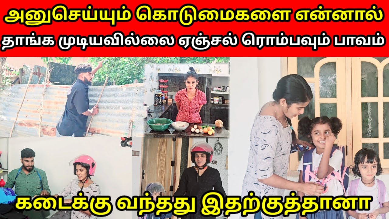 அனு செய்யும் கொடுமைகளை என்னால் தாங்க முடியவில்லை ஏஞ்சல் ரொம்பவும் பாவம் Jaffna vlog |angel view ❤❤