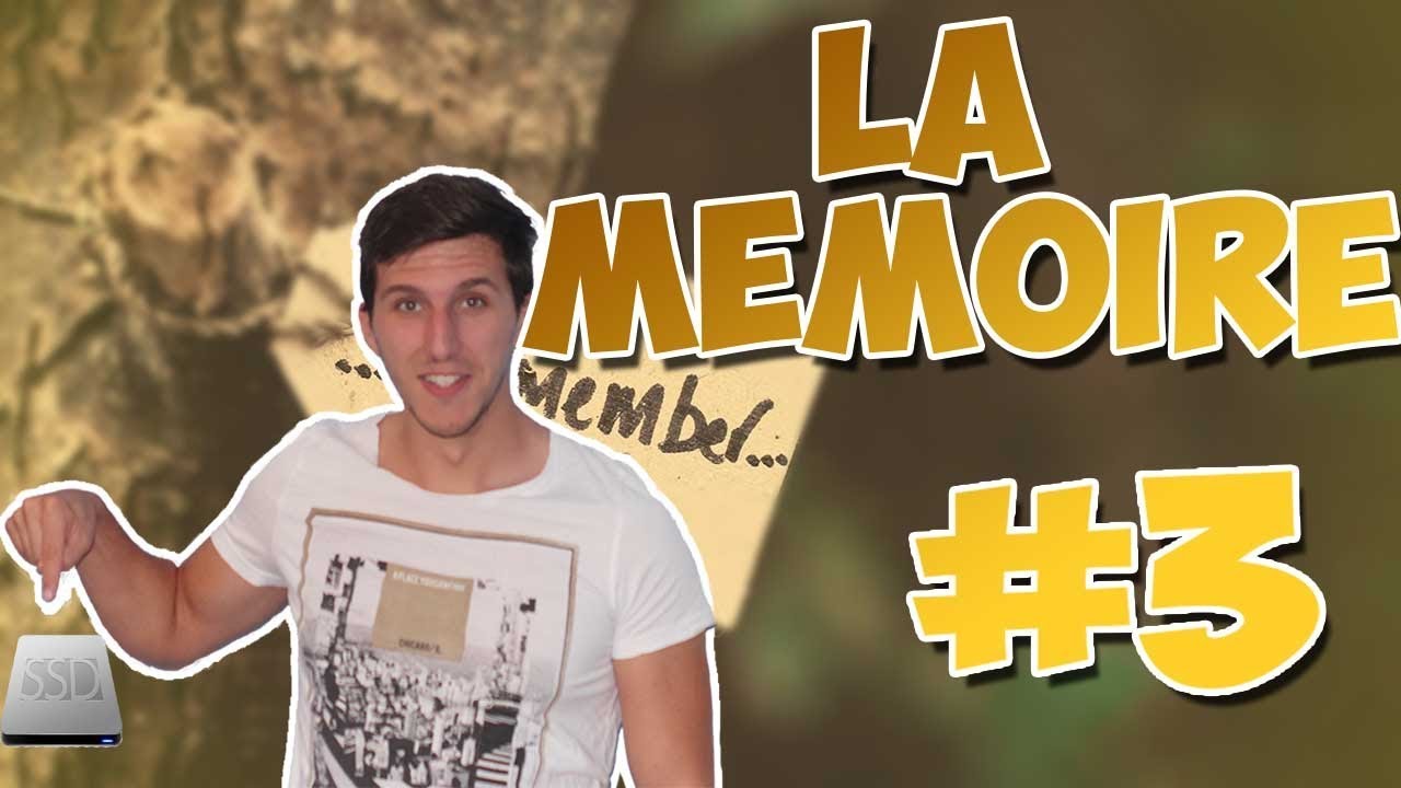 La M&eacute;moire #3 : LES STOCKS MN&Eacute;SIQUES